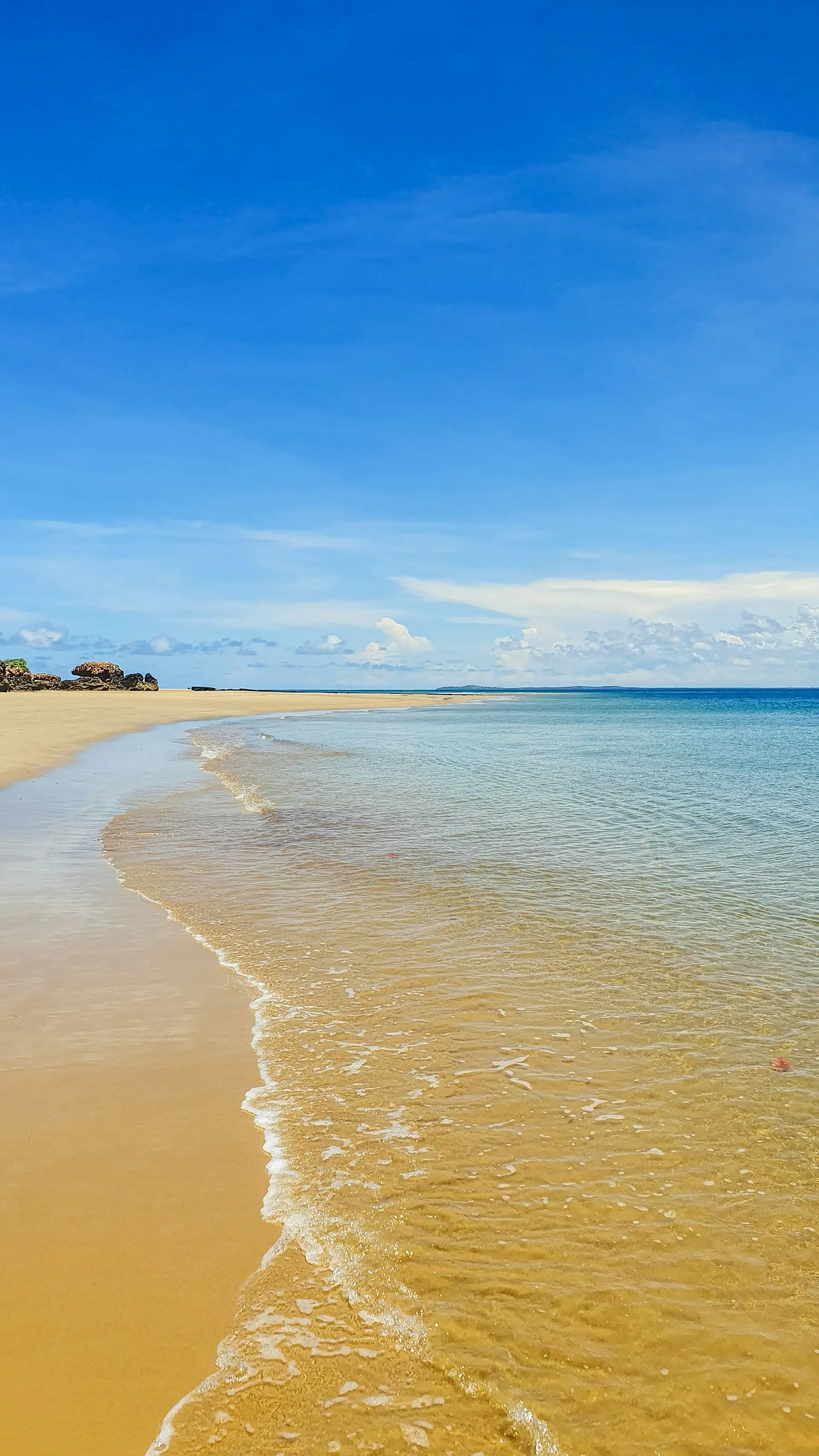 Lamu - Image 2