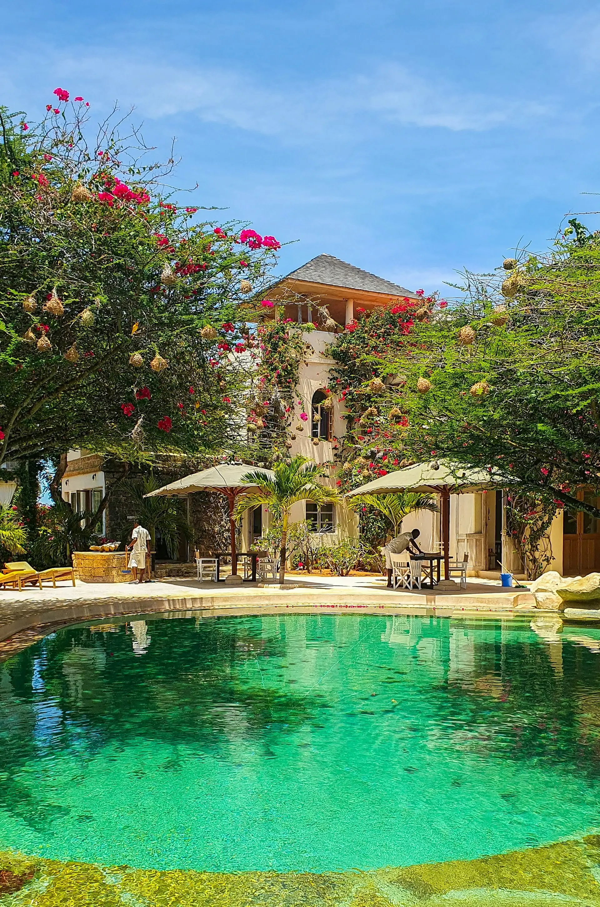 Lamu - Image 4