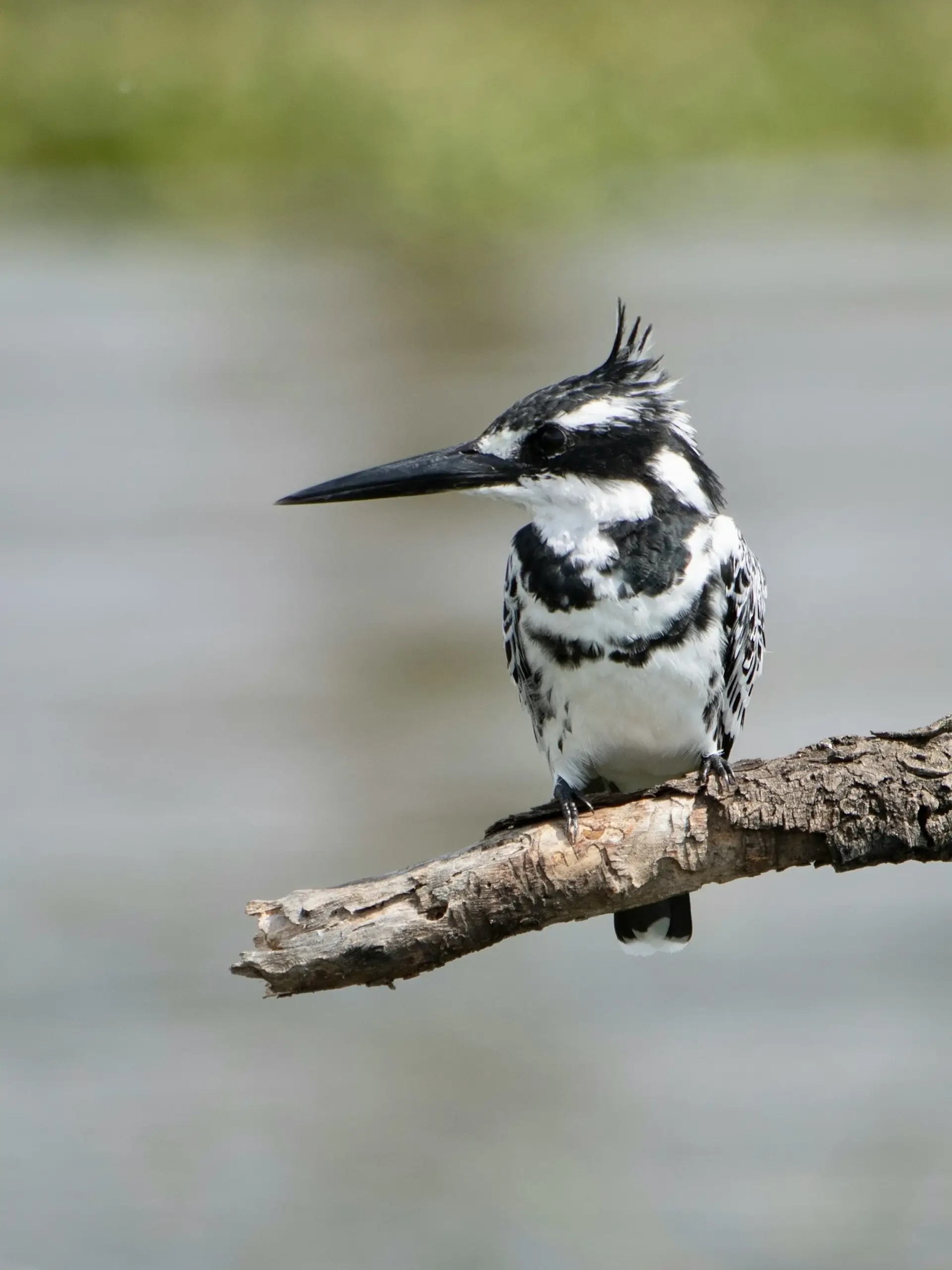 Lake Nakuru National Park - Image 1