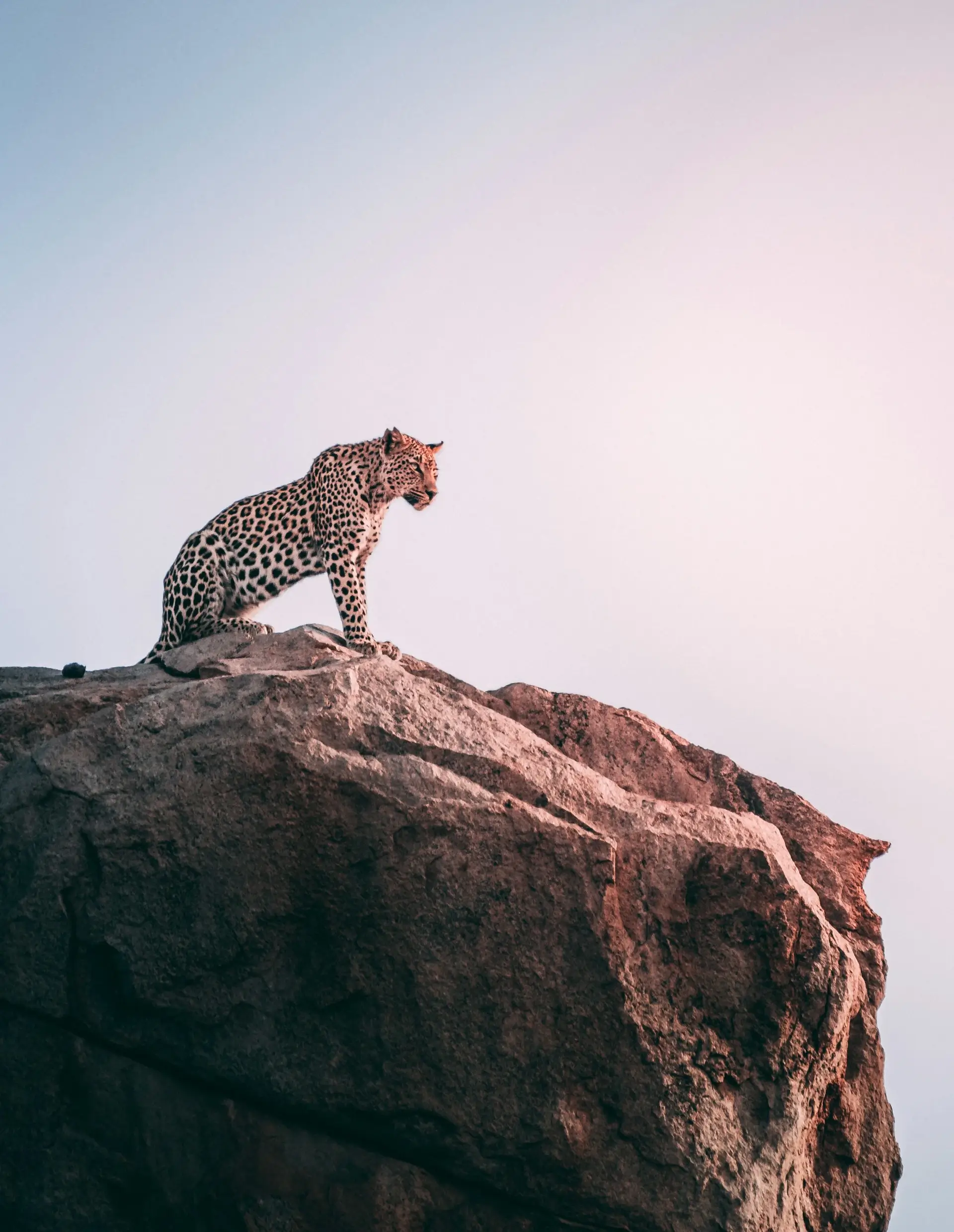 Kruger National Park - Image 2