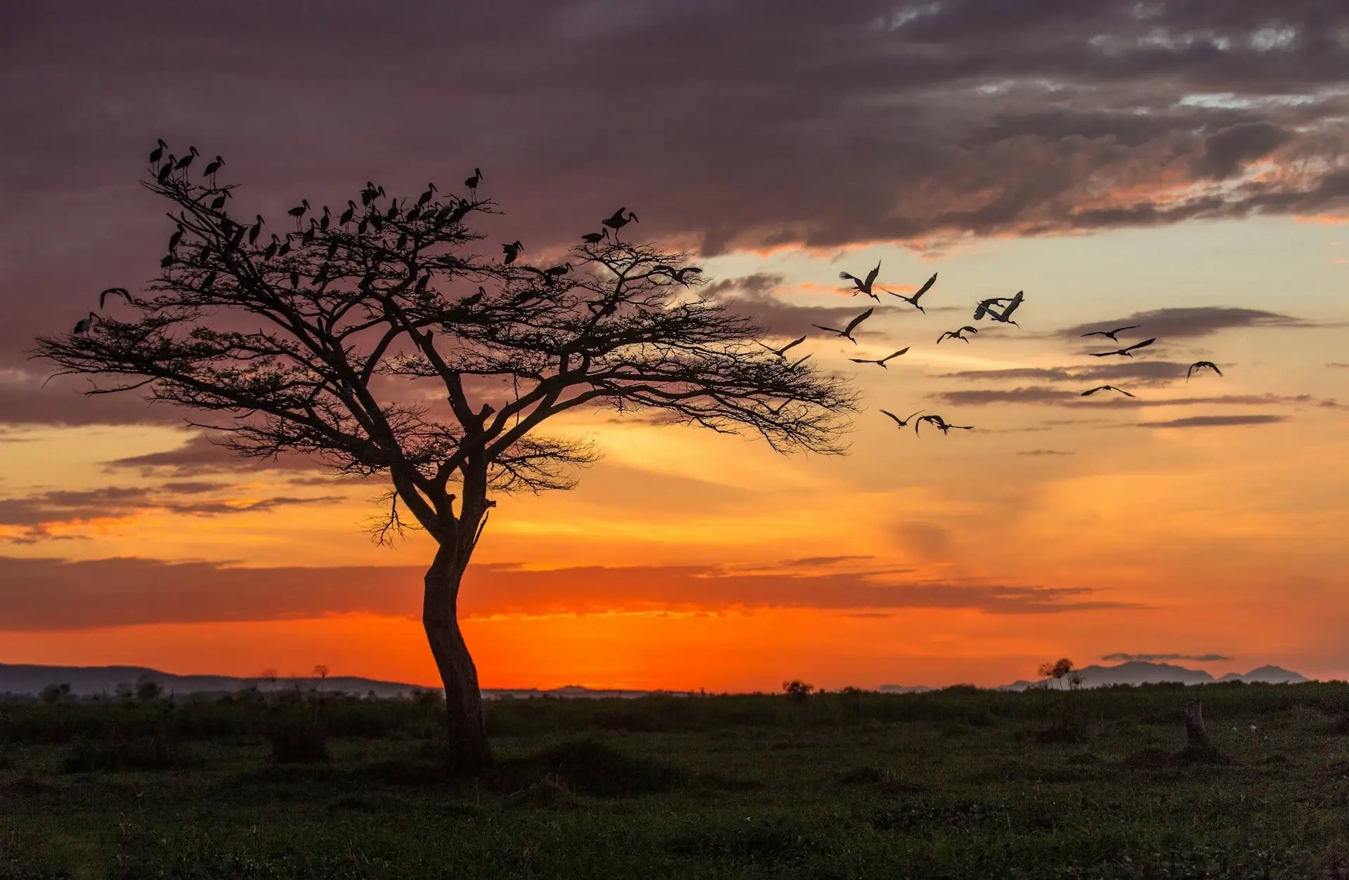 Kisumu & Lake Victoria - Image 3