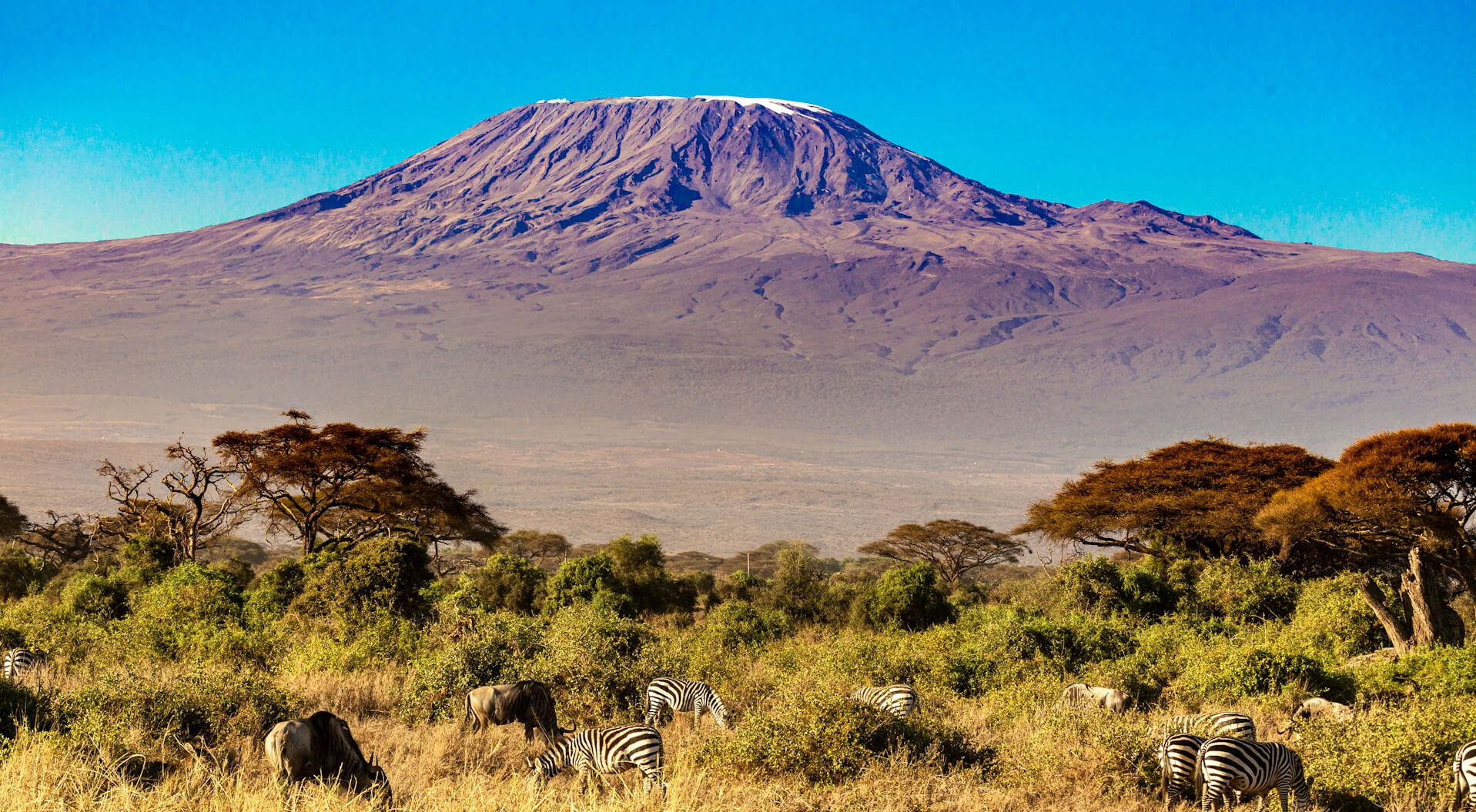 Amboseli National Park