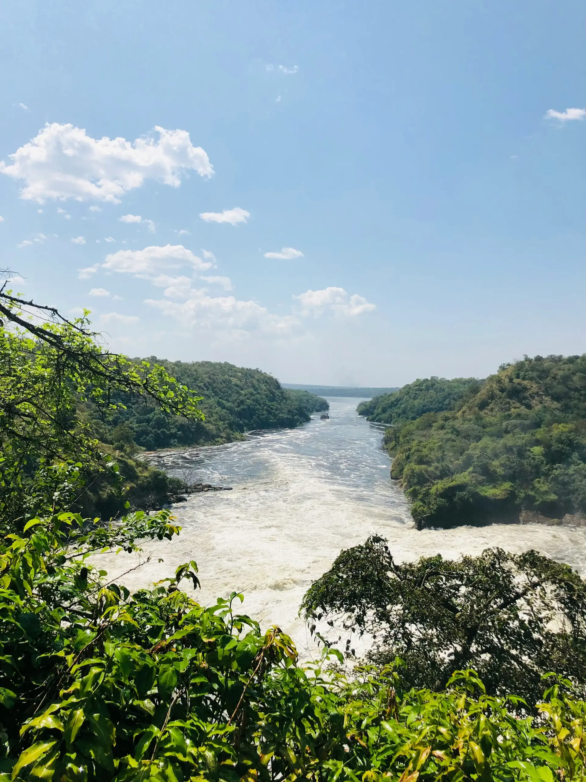 Murchison Falls National Park - Image 1